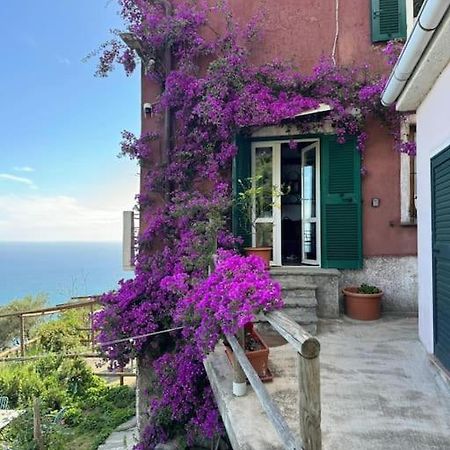 Amazing Flat At The Heart Of 5 Terre National Park Apartamento Vernazza Exterior foto