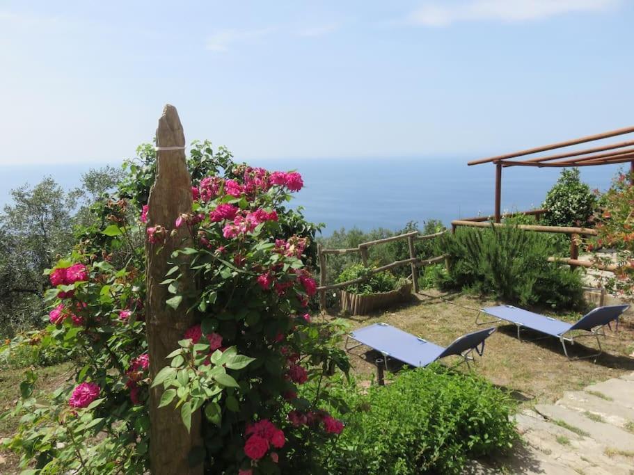 Amazing Flat At The Heart Of 5 Terre National Park Apartamento Vernazza Exterior foto