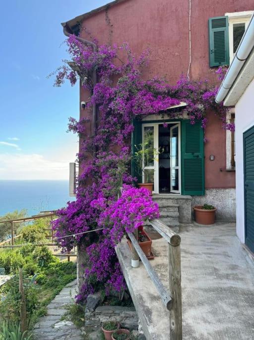 Amazing Flat At The Heart Of 5 Terre National Park Apartamento Vernazza Exterior foto